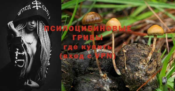 a pvp Белокуриха