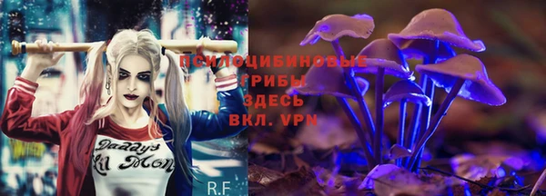 дмт Беломорск