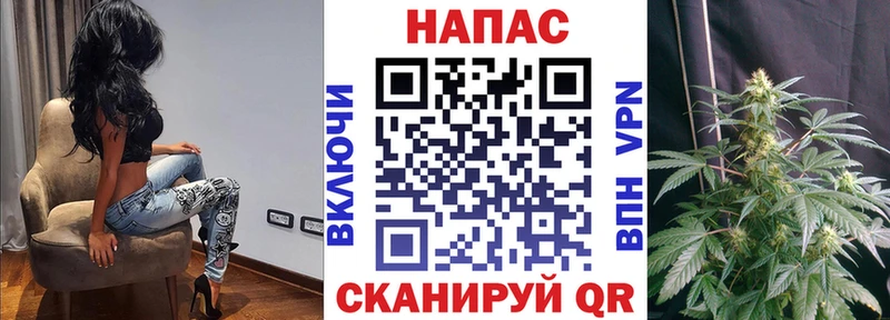 Бошки Шишки VHQ  как найти закладки  Гремячинск 